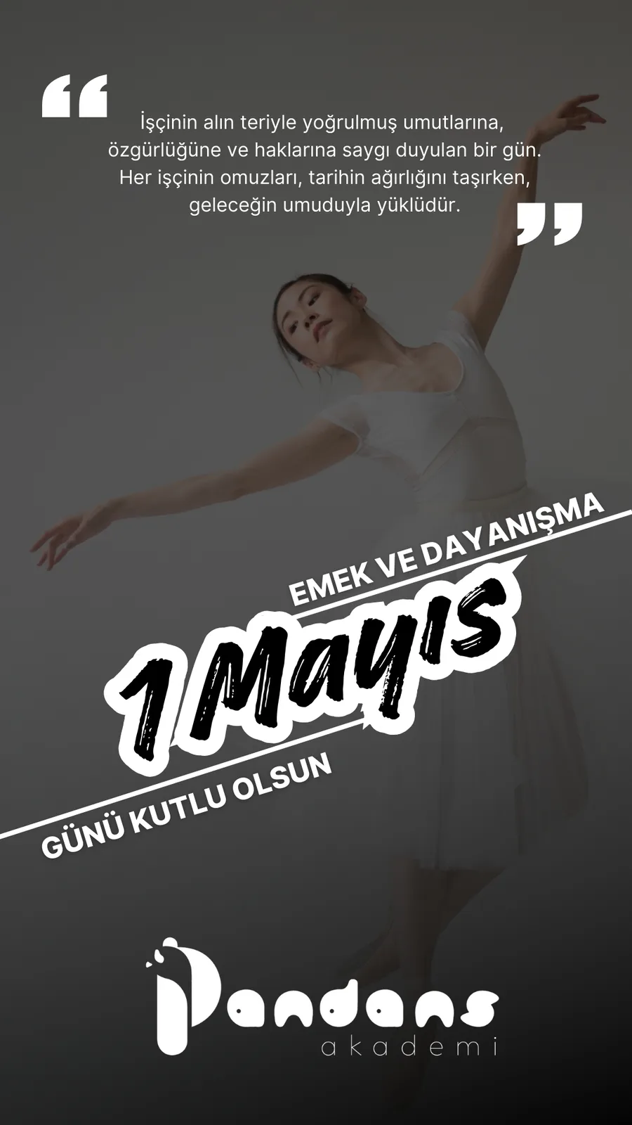 1 Mayıs Emek ve Dayanışma Günü kutlama story görseli, Pandans Akademi